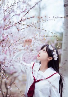 免费无遮挡视频网站观看_超清免费观看超清
